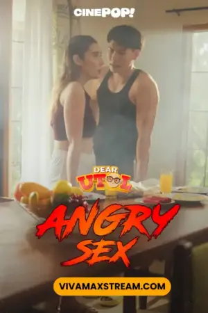 Angry Sex Poster