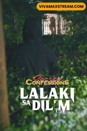 Lalaki Sa Dilim Poster