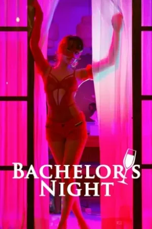Bachelor’s Night Poster