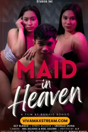 Maid In Heaven Poster