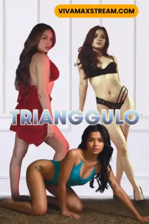 Trianggulo Poster
