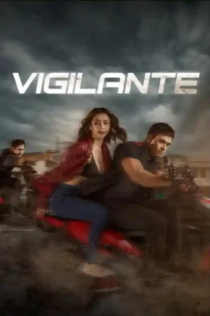 Vigilante Poster