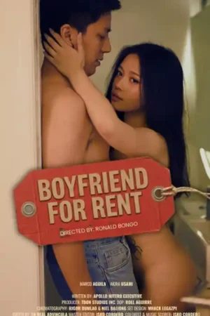 Boyfriend For Rent Poster