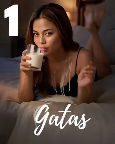 Gatas