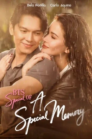 A Special Memory Poster