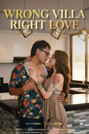 Wrong Villa Right Love Poster